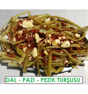 Pezik Dal Pazı Turşusu